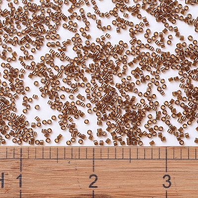 MIYUKI Delica Beads X-SEED-J020-DB1891-1