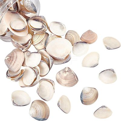 Clam Shell Beads SSHEL-NB0001-11-1