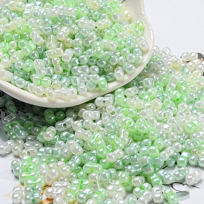 Glass Seed Beads SEED-K009-02B-20-1