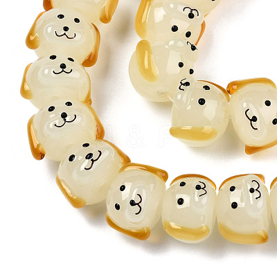 Handmade Lampwork Beads Strands LAMP-N021-42F-1