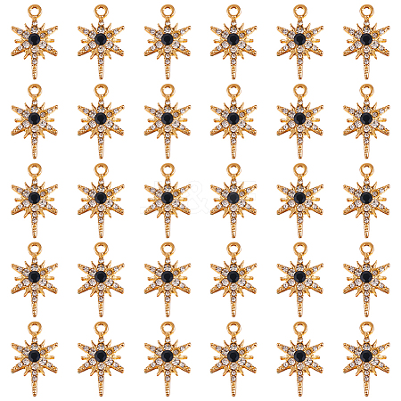 30Pcs Alloy Rhinestone Pendant FIND-SC0011-05-1