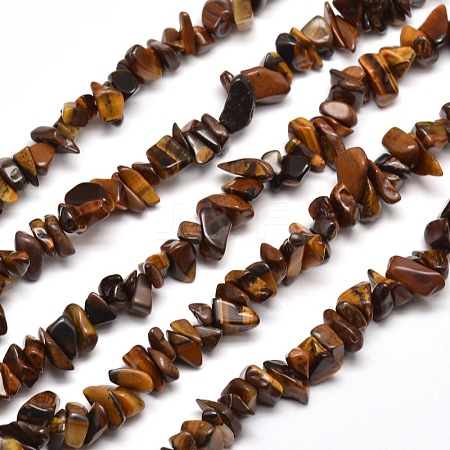 Natural Tiger Eye Chip Bead Strands X-G-M205-03-1