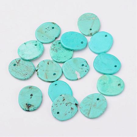 Natural Howlite Charms TURQ-G929-B02-1