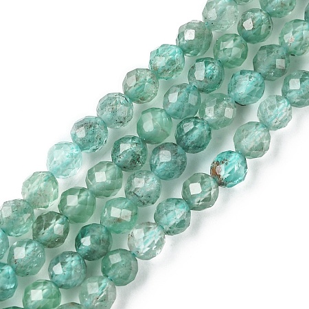 Natural Apatite Beads Strands G-F748-J01-02A-1