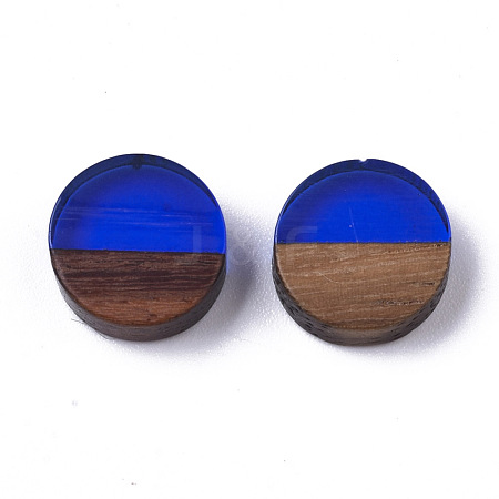 Resin & Wood Cabochons X-RESI-S358-70-H60-1