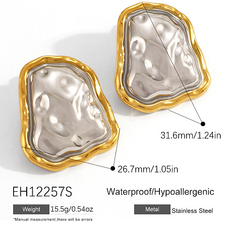304 Stainless Steel Stud Earrings FS-WGFFC24-02-1