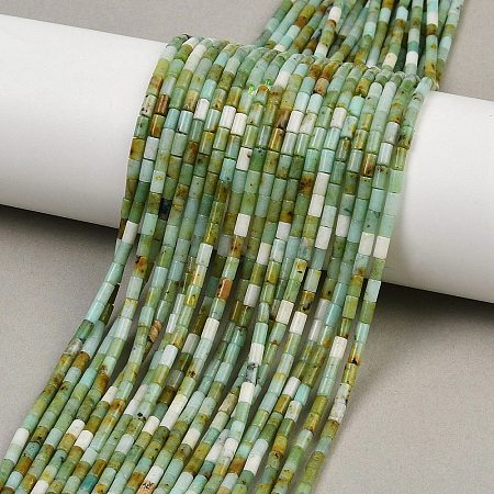 Natural Chrysoprase Beads Strands G-M389-22-1