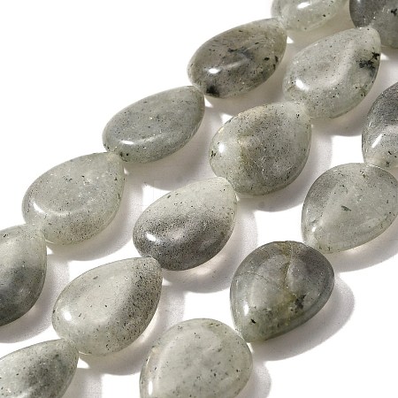 Natural Labradorite Beads Strands G-P561-B05-01-1