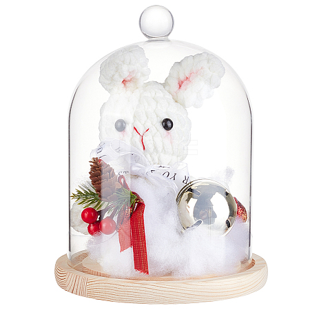 Glass Dome Cover DIY-WH0504-317B-1