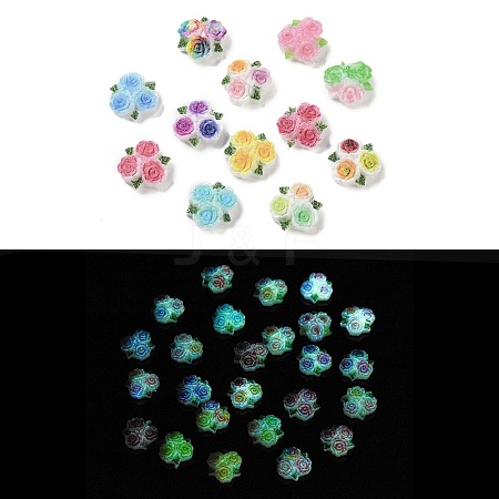 Luminous Resin Decoden Cabochons RESI-K036-20-1