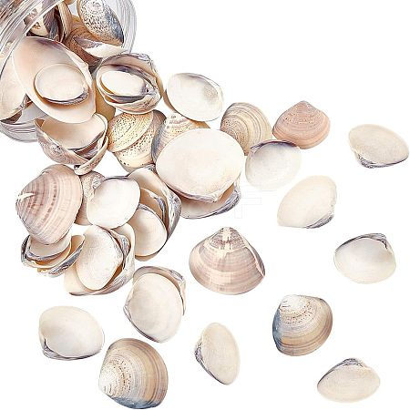 Clam Shell Beads SSHEL-NB0001-11-1