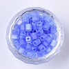 6/0 Transparent Glass Seed Beads X-SEED-S027-03B-06-2