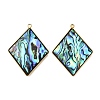 304 Stainless Steel Pave Natural Paua Shell Pendants X-STAS-Z125-01D-G-1