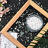 100G PVC Cabochons MRMJ-SC0001-45B-5