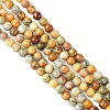 Natural Crazy Lace Agate Round Bead Strands G-E334-4mm-20-2