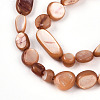 Natural White Shell Beads Strands SHEL-N036-21E-3