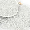 6/0 Luminous Glass Seed Beads X1-SEED-NH0001-01A-2