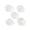 Natural Quartz Crystal Beads G-O156-C-34-2