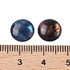 Natural Abalone Shell/Paua Shell Resin Cabochons SSHEL-K003-10MM-03-3