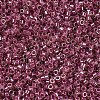 MIYUKI Delica Beads X-SEED-J020-DB0283-3