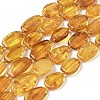 Natural Amber Beads Strands G-L095-C01-05-2