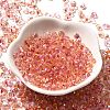 Transparent Baking Paint Glass Seed Beads SEED-P006-02B-02-2