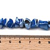 Natural Trochid Shell/Trochus Shell Beads Strands SHEL-B003-02G-4