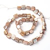 Erose Shell Beads Strands PBB071Y-2