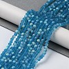 Transparent Glass Beads Strands EGLA-A044-T8mm-MB27-2