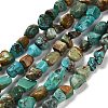 Natural HuBei Turquoise Beads Strands G-P497-01E-19-1