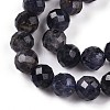 Natural Cordierite/Iolite/Dichroite Beads Strands G-S345-6mm-27-4