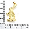 Rack Plating Brass Pendants KK-K401-66G-3