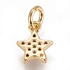 Brass Micro Pave Cubic Zirconia Charms ZIRC-E145-78G-2