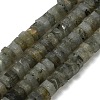 Natural Labradorite Beads Strands G-G317-A10-3x6mm-2