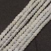 Natural White Moonstone Bead Strands G-G970-37-4mm-1