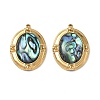Natural Paua Shell Pendants STAS-G397-24G-02-1