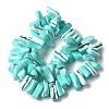 Dyed Natural Trochus Shell Beads Strands X-SSHEL-C013-09M-2