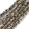 Natural Dalmatian Jasper Beads Strands G-G0003-B29-1