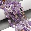 Natural Ametrine(Dyed & Heated) Beads Strands G-P497-01E-50-2