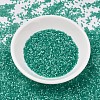 MIYUKI Delica Beads SEED-X0054-DB1813-2