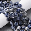 Natural Blue Spot Jasper Beads Strands G-P570-E19-01-1
