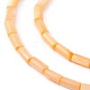 Natural Freshwater Shell Dyed Beads Strands SHEL-M018-11-4