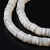 Natural Trochid Shell/Trochus Shell Beads Strands SHEL-P015-12-4