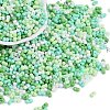 Glass Seed Beads X1-SEED-K010-03H-1