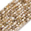 Natural Freshwater Shell Beads Strands SHEL-K006-71C-1