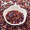 Baking Paint Glass Seed Beads SEED-S042-05B-49-2