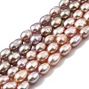 Natural Cultured Freshwater Pearl Beads Strands PEAR-I007-01P-04B-2