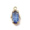 Brass Glass Charms KK-U061-10G-02-1