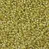 TOHO Round Seed Beads X-SEED-TR11-0295-2