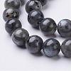 Natural Larvikite/Black Labradorite Beads Strands GSR8mmC128-2